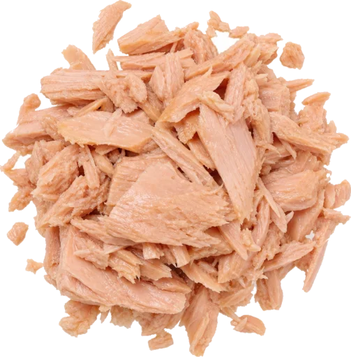 Thunfisch